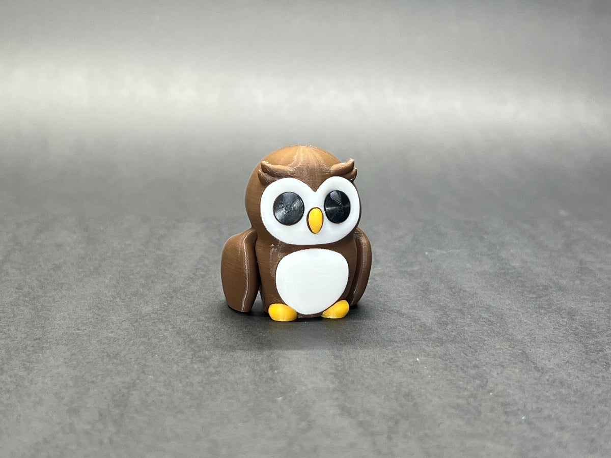 Baby Owl