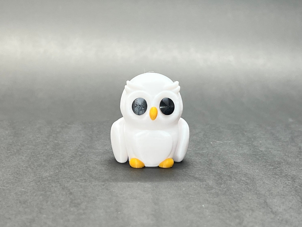 Baby Owl